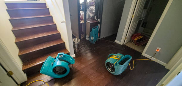 Best Professional water damage repair  in Michigan City, IN