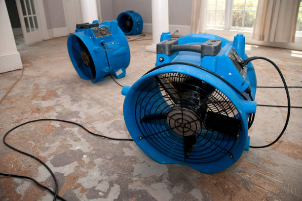 Best Flood damage cleanup  in Michigan City, IN
