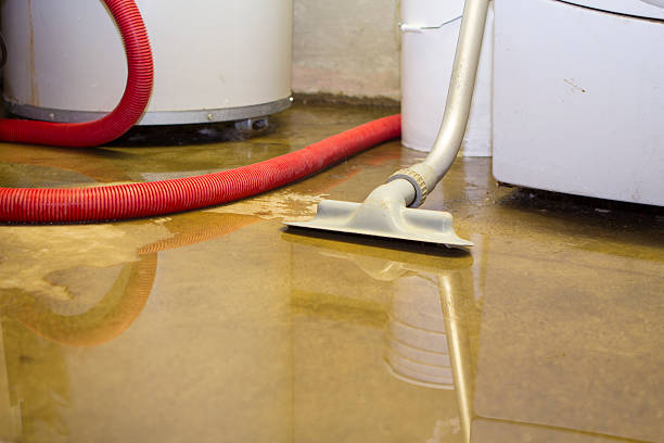 Best Water damage contractors near me  in Michigan City, IN