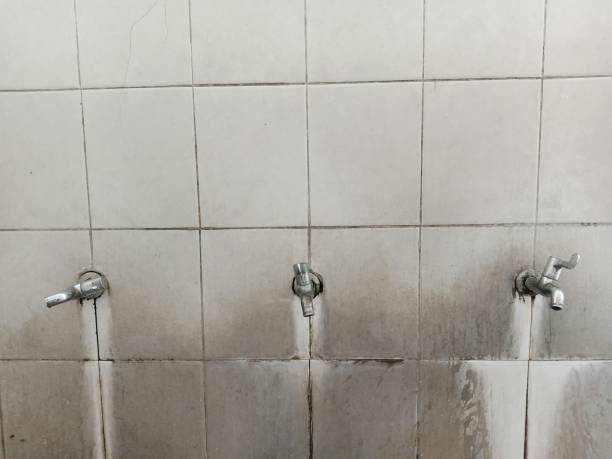 Best 24-hour water damage restoration  in Michigan City, IN