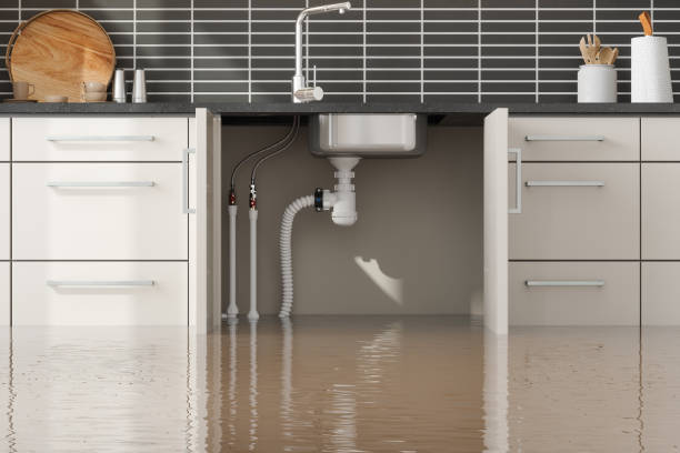 Best 24/7 water damage repair  in Michigan City, IN
